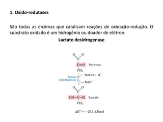 1. Oxido-redutases
São todas as enzimas que catalisam reações de oxidação-redução. O
substrato oxidado é um hidrogênio ou doador de elétron.
Lactato desidrogenase
 