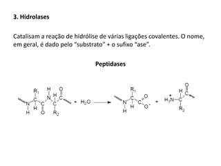 3. Hidrolases
Catalisam a reação de hidrólise de várias ligações covalentes. O nome,
em geral, é dado pelo “substrato” + o sufixo “ase”.
Peptidases
 