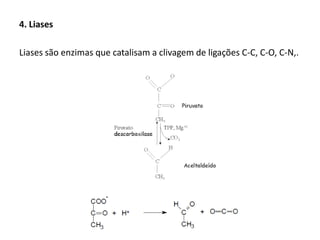4. Liases
Liases são enzimas que catalisam a clivagem de ligações C-C, C-O, C-N,.
 