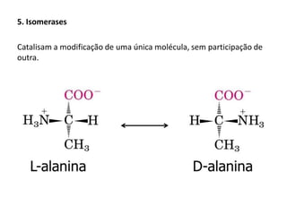 5. Isomerases
Catalisam a modificação de uma única molécula, sem participação de
outra.
 
