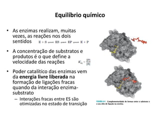 Equilíbrio químico
• As enzimas realizam, muitas
vezes, as reações nos dois
sentidos
• A concentração de substratos e
produtos é o que define a
velocidade das reações
• Poder catalítico das enzimas vem
da energia livre liberada na
formação de ligações fracas
quando da interação enzima-
substrato
– Interações fracas entre ES são
otimizadas no estado de transição
 