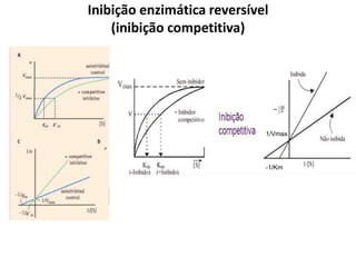 Inibição enzimática reversível
(inibição competitiva)
1/Vmax
-1/Km
 