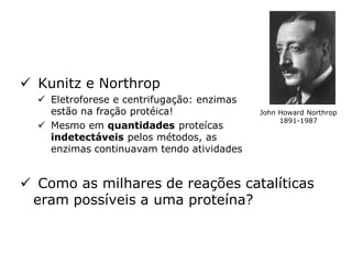  Kunitz e Northrop
 Eletroforese e centrifugação: enzimas
estão na fração protéica!
 Mesmo em quantidades proteícas
indetectáveis pelos métodos, as
enzimas continuavam tendo atividades
 Como as milhares de reações catalíticas
eram possíveis a uma proteína?
John Howard Northrop
1891-1987
 