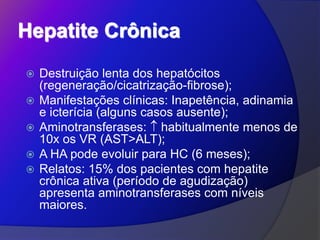 Hepatite Crônica
 Destruição lenta dos hepatócitos
(regeneração/cicatrização-fibrose);
 Manifestações clínicas: Inapetência, adinamia
e icterícia (alguns casos ausente);
 Aminotransferases:  habitualmente menos de
10x os VR (AST>ALT);
 A HA pode evoluir para HC (6 meses);
 Relatos: 15% dos pacientes com hepatite
crônica ativa (período de agudização)
apresenta aminotransferases com níveis
maiores.
 