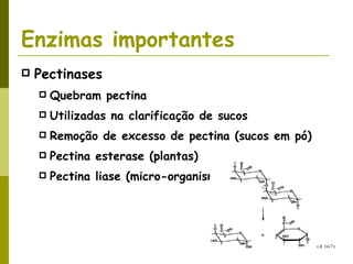 Enzimas importantes Pectinases Quebram pectina Utilizadas na clarificação de sucos Remoção de excesso de pectina (sucos em pó) Pectina esterase (plantas) Pectina liase (micro-organismos) 