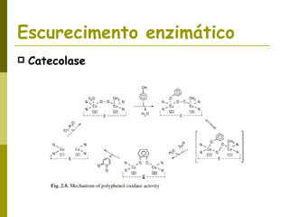 Escurecimento enzimático Catecolase 
