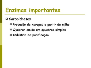 Enzimas importantes Carboidrases Produção de xaropes a partir de milho Quebrar amido em açucares simples Indústria de panificação 
