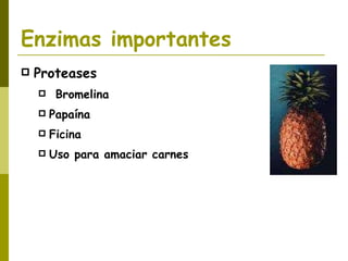 Enzimas importantes Proteases Bromelina Papaína  Ficina Uso para amaciar carnes 