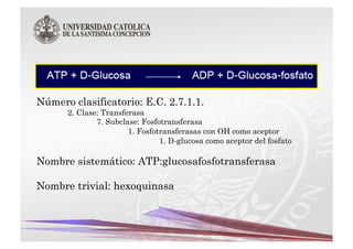 Número clasificatorio: E.C. 2.7.1.1.
      2. Clase: Transferasa
              7. Subclase: Fosfotransferasa
                       1. Fosfotransferasas con OH como aceptor
                                1. D-glucosa como aceptor del fosfato

Nombre sistemático: ATP:glucosafosfotransferasa

Nombre trivial: hexoquinasa
 