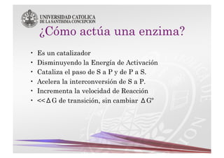 •    Es un catalizador
•    Disminuyendo la Energía de Activación
•    Cataliza el paso de S a P y de P a S.
•    Acelera la interconversión de S a P.
•    Incrementa la velocidad de Reacción
•    <<ΔG de transición, sin cambiar ΔGº
 