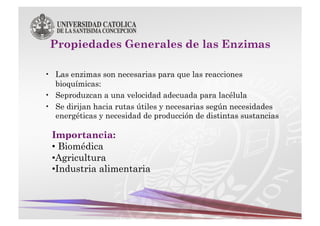 •  Las enzimas son necesarias para que las reacciones
   bioquímicas:
•  Seproduzcan a una velocidad adecuada para lacélula
•  Se dirijan hacia rutas útiles y necesarias según necesidades
   energéticas y necesidad de producción de distintas sustancias

 Importancia:
 •  Biomédica
 • Agricultura
 • Industria alimentaria
 