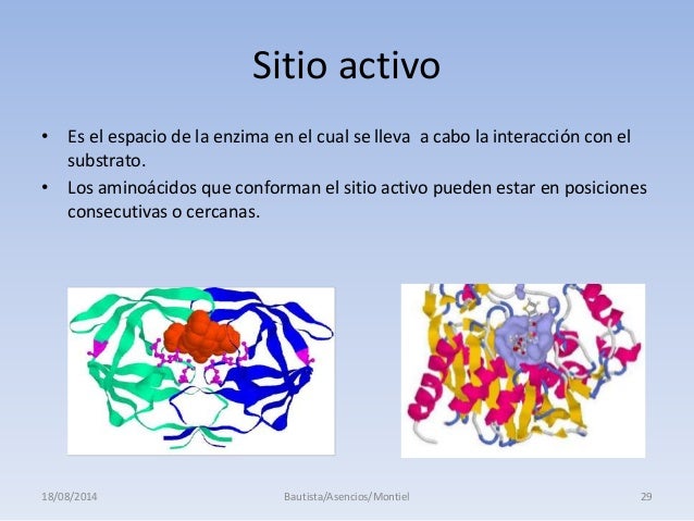 Enzimas clase 1: Conceptos básicos y Mecanismo termodinámico de acción
