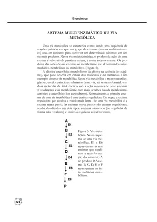 224
Bioquímica
Figura 5: Via meta-
bólica. Neste esque-
ma de uma via me-
tabólica, E1 a E6
representam as seis
enzimas que catali-
sam a transforma-
ção do substrato A
no produto P. As le-
tras B, C, D, E e F
representam os in-
termediários meta-
bólicos.
SISTEMA MULTIENZIMÁTICO OU VIA
METABÓLICA
Uma via metabólica se caracteriza como sendo uma seqüência de
reações químicas em que um grupo de enzimas (sistema multienzimáti-
co) atua em conjunto para converter um determinado substrato em um
ou mais produtos. Nessa via multienzimática, o produto da ação de uma
enzima é substrato da próxima enzima, e assim sucessivamente. Os pro-
dutos das ações dessas enzimas do metabolismo são denominados inter-
mediários metabólicos ou metabólitos (Figura 5).
A glicólise anaeróbica (metabolismo da glicose na ausência de oxigê-
nio), que pode ocorrer em células dos músculos e das hemácias, é um
exemplo de uma via metabólica. Nessa via metabólica o monossacarídeo
glicose, um dos principais substratos dessa via, vai ser transformado em
duas moléculas de ácido láctico, sob a ação conjunta de onze enzimas
(Estudaremos esse metabolismo com mais detalhes na aula metabolismo
aeróbico e anaeróbico dos carboidratos). Normalmente, a primeira enzi-
ma de uma via metabólica é uma enzima reguladora. Em regra, a enzima
reguladora que catalisa a reação mais lenta de uma via metabólica é a
enzima marca passo. As enzimas marca passos são enzimas reguladoras,
sendo classificadas em dois tipos: enzimas alostéricas (ou reguladas de
forma não covalente) e enzimas reguladas covalentemente.
 