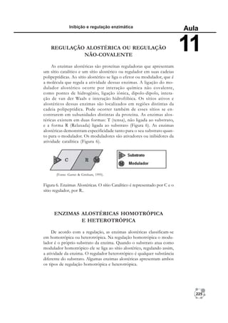 225
Inibição e regulação enzimática
Aula
11
REGULAÇÃO ALOSTÉRICA OU REGULAÇÃO
NÃO-COVALENTE
As enzimas alostéricas são proteínas reguladoras que apresentam
um sítio catalítico e um sítio alostérico ou regulador em suas cadeias
polipeptídicas. Ao sítio alostérico se liga o efetor ou modulador, que é
a molécula que regula a atividade dessas enzimas. A ligação do mo-
dulador alostérico ocorre por interação química não covalente,
como pontes de hidrogênio, ligação iônica, dipolo-dipolo, intera-
ção de van der Waals e interação hidrofóbica. Os sítios ativos e
alostéricos dessas enzimas são localizados em regiões distintas da
cadeia polipeptídica. Pode ocorrer também de esses sítios se en-
contrarem em subunidades distintas da proteína. As enzimas alos-
téricas existem em duas formas: T (tensa), não ligada ao substrato,
e a forma R (Relaxada) ligada ao substrato (Figura 6). As enzimas
alostéricas demonstram especificidade tanto para o seu substrato quan-
to para o modulador. Os moduladores são ativadores ou inibidores da
atividade catalítica (Figura 6).
(Fonte: Garret & Grisham, 1995).
ENZIMAS ALOSTÉRICAS HOMOTRÓPICA
E HETEROTRÓPICA
De acordo com a regulação, as enzimas alostéricas classificam-se
em homotrópica ou heterotrópica. Na regulação homotrópica o modu-
lador é o próprio substrato da enzima. Quando o substrato atua como
modulador homotrópico ele se liga ao sítio alostérico, regulando assim,
a atividade da enzima. O regulador heterotrópico é qualquer substância
diferente do substrato. Algumas enzimas alostéricas apresentam ambos
os tipos de regulação homotrópica e heterotrópica.
Figura 6. Enzimas Alostéricas. O sítio Catalítico é representado por C e o
sítio regulador, por R..
 
