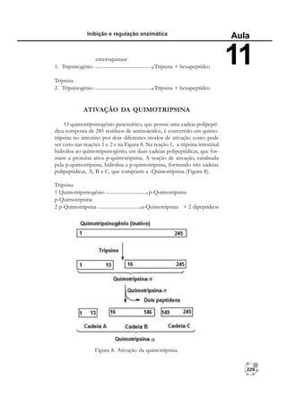 229
Inibição e regulação enzimática
Aula
11
enteroquinase
1. Tripsinogênio Tripsina + hexapeptídeo
Tripsina
2. Tripsinogênio Tripsina + hexapeptídeo
ATIVAÇÃO DA QUIMOTRIPSINA
O quimotripsinogênio pancreático, que possui uma cadeia polipeptí-
dica composta de 245 resíduos de aminoácidos, é convertido em quimo-
tripsina no intestino por dois diferentes modos de ativação como pode
ser visto nas reações 1 e 2 e na Figura 8. Na reação 1, a tripsina intestinal
hidrolisa ao quimotripsinogênio, em duas cadeias polipeptídicas, que for-
mam a proteína ativa p-quimotripsina. A reação de ativação, catalisada
pela p-quimotripsina, hidrolisa a p-quimotripsina, formando três cadeias
polipeptídicas, A, B e C, que compõem a -Quimotripsina (Figura 8).
Tripsina
1 Quimotripsinogênio p-Quimotripsina
p-Quimotripsina
2 p-Quimotripsina a-Quimotripsina + 2 dipeptídeos
Figura 8. Ativação da quimotripsina.
 