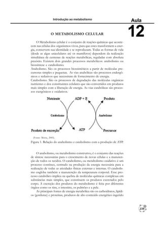 239
Introdução ao metabolismo
Aula
12
(Fonte: Motta, 2005).
O anabolismo, ou metabolismo construtivo, é o conjunto das reações
de síntese necessárias para o crescimento de novas células e a manuten-
ção de todos os tecidos. O catabolismo, ou metabolismo oxidativo é um
processo contínuo, centrado na produção da energia necessária para a
realização de todas as atividades físicas externas e internas. O catabolis-
mo engloba também a manutenção da temperatura corporal. Esse pro-
cesso catabólico implica na quebra de moléculas químicas complexas em
substâncias mais simples, que constituem os produtos excretados pelo
corpo. A excreção dos produtos do metabolismo é feita por diferentes
órgãos como os rins, o intestino, os pulmões e a pele.
As principais fontes de energia metabólica são os carboidratos, lipídi-
os (gorduras) e proteínas, produtos de alto conteúdo energético ingerido
O METABOLISMO CELULAR
O Metabolismo celular é o conjunto de reações químicas que aconte-
cem nas células dos organismos vivos, para que estes transformem a ener-
gia, conservem sua identidade e se reproduzam. Todas as formas de vida
(desde as algas unicelulares até os mamíferos) dependem da realização
simultânea de centenas de reações metabólicas, reguladas com absoluta
precisão. Existem dois grandes processos metabólicos: anabolismo ou
biossíntese e catabolismo.
Anabolismo. São os processos biossintéticos a partir de moléculas pre-
cursoras simples e pequenas. As vias anabólicas são processos endergô-
nicos e redutivos que necessitam de fornecimento de energia.
Catabolismo. São os processos de degradação das moléculas orgânicas
nutrientes e dos constituintes celulares que são convertidos em produtos
mais simples com a liberação de energia. As vias catabólicas são proces-
sos exergônicos e oxidativos.
Figura 1. Relação do anabolismo e catabolismo com a produção de ATP.
 