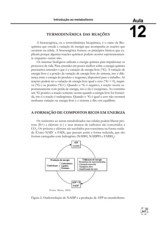 241
Introdução ao metabolismo
Aula
12
TERMODINÂMICA DAS REAÇÕES
A bioenergética, ou a termodinâmica bioquímica, é o ramo da Bio-
química que estuda a variação de energia que acompanha as reações que
ocorrem na célula. A bioenergética fornece os princípios básicos que ex-
plicam porque algumas reações químicas podem ocorrer espontaneamen-
te enquanto outras não.
Os sistemas biológicos utilizam a energia química para impulsionar os
processos da vida. Para entender um pouco melhor sobre a energia química
precisamos entender o que é a variação de energia livre (“G). A variação de
energia livre é a porção da variação de energia livre do sistema, isto é dife-
rença entre a energia do produto e reagentes, disponível para o trabalho. As
reações podem ter a variação de energia livre igual a zero (“G = 0), negati-
va (“G-) ou positiva (“G+). Quando o “G é negativo, a reação ocorre es-
pontaneamente com perda de energia, isto é ela é exergônica. Ao contrário
um “G positivo a reação somente ocorre quando a energia livre for forneci-
da, isto é a reação é endergônica. Quando o “G é igual a zero não ocorrerá
nenhuma variação na energia livre e o sistema é dito em equilíbrio.
A FORMAÇÃO DE COMPOSTOS RICOS EM ENERGIA
Os nutrientes ao serem metabolizados nas células podem liberar pró-
tons (H+) e elétrons (e-) e seus átomos de carbonos são convertidos a
CO2
. Os prótons e elétrons são recebidos por coenzimas na forma oxida-
da (Como NAD+
e FAD), que passam assim a forma reduzida, que são
formas carregadas com hidrogênio (NADH, NADPH e FADH2
).
(Fonte: Motta, 2005).
Figura 2. Oxidorredução do NADP e a produção de ATP no metabolismo.
 