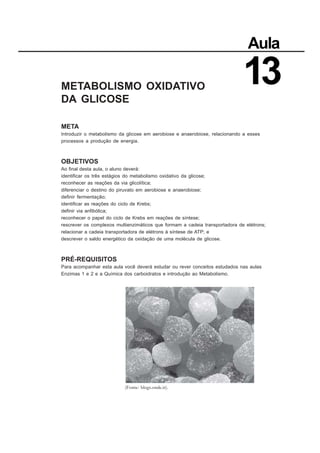 METABOLISMO OXIDATIVO
DA GLICOSE
META
Introduzir o metabolismo da glicose em aerobiose e anaerobiose, relacionando a esses
processos a produção de energia.
OBJETIVOS
Ao final desta aula, o aluno deverá:
identificar os três estágios do metabolismo oxidativo da glicose;
reconhecer as reações da via glicolítica;
diferenciar o destino do piruvato em aerobiose e anaerobiose;
definir fermentação;
identificar as reações do ciclo de Krebs;
definir via anfibólica;
reconhecer o papel do ciclo de Krebs em reações de síntese;
rescrever os complexos multienzimáticos que formam a cadeia transportadora de elétrons;
relacionar a cadeia transportadora de elétrons á síntese de ATP; e
descrever o saldo energético da oxidação de uma molécula de glicose.
PRÉ-REQUISITOS
Para acompanhar esta aula você deverá estudar ou rever conceitos estudados nas aulas
Enzimas 1 e 2 e a Química dos carboidratos e introdução ao Metabolismo.
Aula
13
(Fonte: blogs.onde.ir).
 