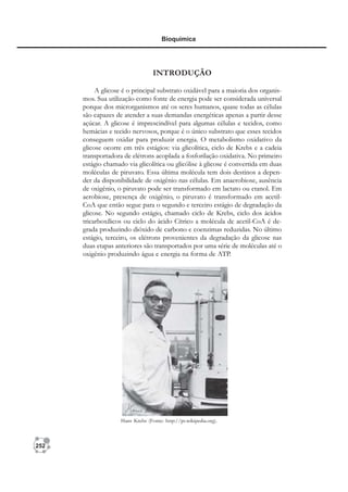 252
Bioquímica
INTRODUÇÃO
A glicose é o principal substrato oxidável para a maioria dos organis-
mos. Sua utilização como fonte de energia pode ser considerada universal
porque dos microrganismos até os seres humanos, quase todas as células
são capazes de atender a suas demandas energéticas apenas a partir desse
açúcar. A glicose é imprescindível para algumas células e tecidos, como
hemácias e tecido nervosos, porque é o único substrato que esses tecidos
conseguem oxidar para produzir energia. O metabolismo oxidativo da
glicose ocorre em três estágios: via glicolítica, ciclo de Krebs e a cadeia
transportadora de elétrons acoplada a fosforilação oxidativa. No primeiro
estágio chamado via glicolítica ou glicólise à glicose é convertida em duas
moléculas de piruvato. Essa última molécula tem dois destinos a depen-
der da disponibilidade de oxigênio nas células. Em anaerobiose, ausência
de oxigênio, o piruvato pode ser transformado em lactato ou etanol. Em
aerobiose, presença de oxigênio, o piruvato é transformado em acetil-
CoA que então segue para o segundo e terceiro estágio de degradação da
glicose. No segundo estágio, chamado ciclo de Krebs, ciclo dos ácidos
tricarboxílicos ou ciclo do ácido Cítrico a molécula de acetil-CoA é de-
grada produzindo dióxido de carbono e coenzimas reduzidas. No último
estágio, terceiro, os elétrons provenientes da degradação da glicose nas
duas etapas anteriores são transportados por uma série de moléculas até o
oxigênio produzindo água e energia na forma de ATP.
Hans Krebs (Fonte: http://pt.wikipedia.org).
 