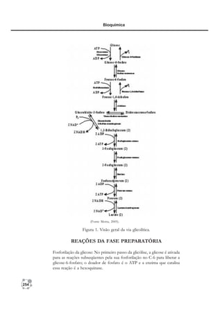 254
Bioquímica
(Fonte Motta, 2005).
REAÇÕES DA FASE PREPARATÓRIA
Fosforilação da glicose: No primeiro passo da glicólise, a glicose é ativada
para as reações subseqüentes pela sua fosforilação no C-6 para liberar a
glicose-6-fosfato; o doador de fosfato é o ATP e a enzima que catalisa
essa reação é a hexoquinase.
Figura 1. Visão geral da via glicolítica.
 