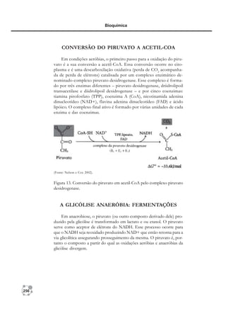256
Bioquímica
CONVERSÃO DO PIRUVATO A ACETIL-COA
Em condições aeróbias, o primeiro passo para a oxidação do piru-
vato é a sua conversão a acetil-CoA. Essa conversão ocorre no cito-
plasma e é uma descarboxilação oxidativa (perda de CO2
acompanha-
da de perda de elétrons) catalisada por um complexo enzimático de-
nominado complexo piruvato desidrogenase. Esse complexo é forma-
do por três enzimas diferentes – piruvato desidrogenase, driidrolipoil
transacetilase e diidrolipoil desidrogenase – e por cinco coenzimas:
tiamina pirofosfato (TPP), coenzima A (CoA), nicotinamida adenina
dinucleotídeo (NAD+), flavina adenina dinucleotídeo (FAD) e ácido
lipóico. O complexo final ativo é formado por várias unidades de cada
enzima e das coenzimas.
(Fonte: Nelson e Cox 2002).
A GLICÓLISE ANAERÓBIA: FERMENTAÇÕES
Em anaerobiose, o piruvato (ou outro composto derivado dele) pro-
duzido pela glicólise é transformado em lactato e ou etanol. O piruvato
serve como aceptor de elétrons do NADH. Esse processo ocorre para
que o NADH seja reoxidado produzindo NAD+ que então retorna para a
via glicolítica assegurando prosseguimento da mesma. O piruvato é, por-
tanto o composto a partir do qual as oxidações aeróbias e anaeróbias da
glicólise divergem.
Figura 13. Conversão do piruvato em acetil-CoA pelo complexo piruvato
desidrogenase.
 
