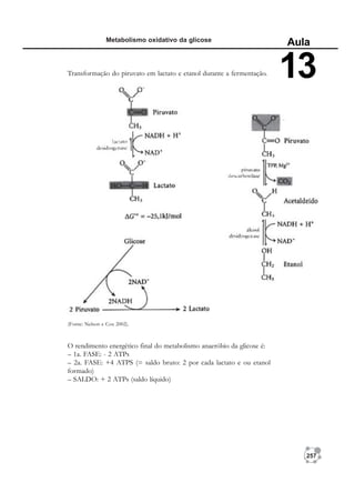257
Metabolismo oxidativo da glicose
Aula
13
(Fonte: Nelson e Cox 2002).
Transformação do piruvato em lactato e etanol durante a fermentação.
O rendimento energético final do metabolismo anaeróbio da glicose é:
– 1a. FASE: - 2 ATPs
– 2a. FASE: +4 ATPS (= saldo bruto: 2 por cada lactato e ou etanol
formado)
– SALDO: + 2 ATPs (saldo líquido)
 