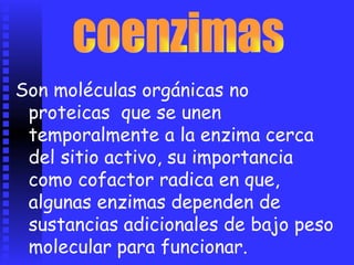 Son moléculas orgánicas no
proteicas que se unen
temporalmente a la enzima cerca
del sitio activo, su importancia
como cofactor radica en que,
algunas enzimas dependen de
sustancias adicionales de bajo peso
molecular para funcionar.
 