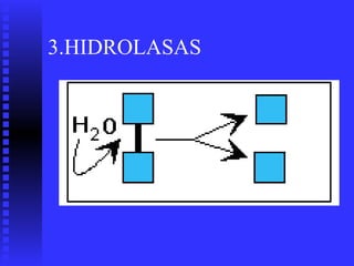 3.HIDROLASAS
 