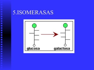 5.ISOMERASAS
 