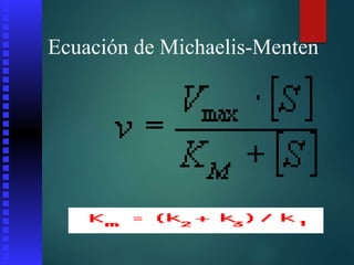 Ecuación de Michaelis-Menten
 