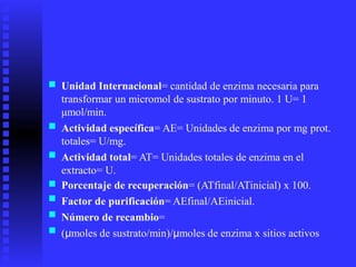 ■ Unidad Internacional= cantidad de enzima necesaria para
transformar un micromol de sustrato por minuto. 1 U= 1
μmol/min.
Actividad específica= AE= Unidades de enzima por mg prot.
totales= U/mg.
Actividad total= AT= Unidades totales de enzima en el
extracto= U.
Porcentaje de recuperación= (ATfinal/ATinicial) x 100.
Factor de purificación= AEfinal/AEinicial.
Número de recambio=
(μmoles de sustrato/min)/μmoles de enzima x sitios activos
■
■
■
■
■
■
 