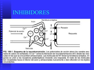 INHIBIDORES
 