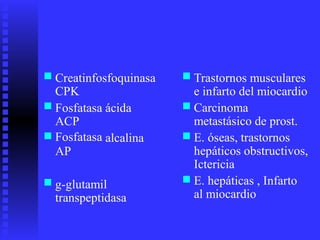 ■ ■Creatinfosfoquinasa
CPK
Trastornos musculares
e infarto del miocardio
Carcinoma
metastásico de prost.
E. óseas, trastornos
hepáticos obstructivos,
Ictericia
E. hepáticas , Infarto
al miocardio
■ ■Fosfatasa
ACP
Fosfatasa
AP
ácida
■ ■alcalina
■■ g-glutamil
transpeptidasa
 