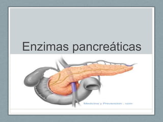 Enzimas pancreáticas
 