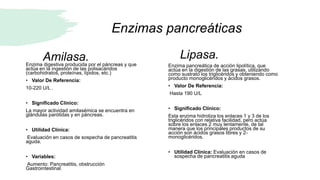 Amilasa.
Enzima digestiva producida por el páncreas y que
actúa en la ingestión de las polisacáridos
(carbohidratos, proteínas, lípidos, etc.)
• Valor De Referencia:
10-220 U/L .
• Significado Clínico:
La mayor actividad amilasémica se encuentra en
glándulas parótidas y en páncreas.
• Utilidad Clínica:
Evaluación en casos de sospecha de pancreatitis
aguda.
• Variables:
Aumento: Pancreatitis, obstrucción
Gastrointestinal.
Enzima pancreática de acción lipolítica, que
actúa en la digestión de las grasas, utilizando
como sustrato los triglicéridos y obteniendo como
producto monoglicéridos y ácidos grasos.
• Valor De Referencia:
Hasta 190 U/L
• Significado Clínico:
Esta enzima hidroliza los enlaces 1 y 3 de los
triglicéridos con relativa facilidad, pero actúa
sobre los enlaces 2 muy lentamente, de tal
manera que los principales productos de su
acción son ácidos grasos libres y 2-
monoglicéridos.
• Utilidad Clínica: Evaluación en casos de
sospecha de pancreatitis aguda
Lipasa.
Enzimas pancreáticas
 