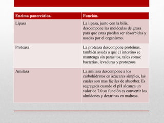 Enzima pancreática. Función.
Lipasa La lipasa, junto con la bilis,
descompone las moléculas de grasa
para que estas puedan ser absorbidas y
usadas por el organismo.
Proteasa La proteasa descompone proteínas,
también ayuda a que el intestino se
mantenga sin parásitos, tales como:
bacterias, levaduras y protozoos
Amilasa La amilasa descompone a los
carbohidratos en azucares simples, las
cuales son mas fáciles de absorber. Es
segregada cuando el pH alcanza un
valor de 7.0 su función es convertir los
almidones y dextrinas en maltosa.
 