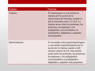 Enzima Funcion
Tripsina El tripsinogeno es convertido en
tripsina por la acción de la
enterocinasa del intestino cuando el
pH se encuentra entre 5.2 y6.0. La
tripsina actua sobre las proteinas, las
proteosas, las peptonas y los
polipéptidos convirtiendolos en
polipéptidos, dipéptidos y péptidos
más pequeños.
Quimiotripsina Es secretada como quimiotripsinogeno
y convertido enquimiotripsina por la
acción de la tripsina cuando el pH
alcanza valores de 8.0, ésta enzima
actúa sobre las proteinas, las proteosas,
las peptonas y los polipéptidos
convirtiendolos en polipéptidos,
dipéptidos y péptidos más pequeños.
 