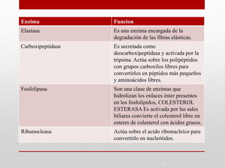 Enzima Funcion
Elastasa Es una enzima encargada de la
degradación de las fibras elásticas.
Carboxipeptidasa Es secretada como
deocarboxipeptidasa y activada por la
tripsina. Actúa sobre los polipéptidos
con grupos carboxilos libres para
convertirlos en péptidos más pequeños
y aminoácidos libres.
Fosfolipasa Son una clase de enzimas que
hidrolizan los enlaces éster presentes
en los fosfolípidos, COLESTEROL
ESTERASA Es activada por las sales
biliares convierte el colesterol libre en
esteres de colesterol con ácidos grasos.
Ribunocleasa Actúa sobre el acido ribonucleico para
convertirlo en nucleótidos.
 