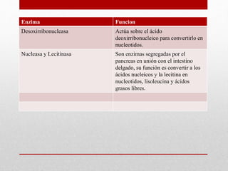 Enzima Funcion
Desoxirribonucleasa Actúa sobre el ácido
deoxirribonucleico para convertirlo en
nucleotidos.
Nucleasa y Lecitinasa Son enzimas segregadas por el
pancreas en unión con el intestino
delgado, su función es convertir a los
ácidos nucleicos y la lecitina en
nucleotidos, lisoleucina y ácidos
grasos libres.
 