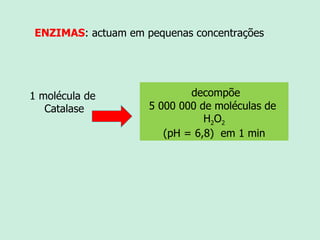 ENZIMAS : actuam em pequenas concentrações 1 molécula de  Catalase decompõe 5 000 000 de moléculas de  H 2 O 2 (pH = 6,8)  em 1 min 