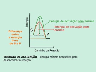 Diferença entre a energia livre  de S e P Caminho da Reacção ENERGIA DE ACTIVAÇÃO  – energia mínima necessária para desencadear a reacção. Energia de activação  com  enzima Energia Energia de activação  sem  enzima S P 
