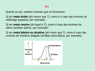 PH Quanto ao pH, existem enzimas que só funcionam: em  meio ácido  (pH menor que 7), como é o caso das enzimas do estômago (pepsina, por exemplo)  em  meio neutro  (pH igual a 7), como é caso das enzimas da saliva (amilase salivar, por exemplo)  em  meio básico ou alcalino  (pH maior que 7), como é caso das enzimas do intestino delgado (amílase pancreática, por exemplo)  