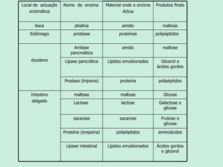 Local de  actuação enzimática Nome  da  enzima  Material onde a enzima Actua Produtos finais boca ptialina amido maltose Estômago protéase proteínas polipéptidos duodeno Amílase pancreática amido maltose Lípase pancrática Lípidos emulsionados Glicerol e ácidos gordos Proéase (tripsina) proteína polipéptidos Intestino delgado maltase maltose Glicose Lactase  lactose Galactose e glicose sacarase sacarose Frutose e glicose Proteína (erepsina) polipéptidos aminoácidos Lípase intestinal Lípidos emulsionados Ácidos gordos e glicerol 