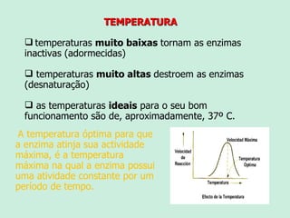 TEMPERATURA temperaturas  muito baixas  tornam as enzimas inactivas (adormecidas) temperaturas  muito altas  destroem as enzimas (desnaturação) as temperaturas  ideais  para o seu bom funcionamento são de, aproximadamente, 37º C.  A temperatura óptima para que a enzima atinja sua actividade máxima, é a temperatura máxima na qual a enzima possui uma atividade constante por um período de tempo. 