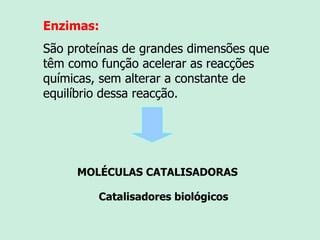 Enzimas: São proteínas de grandes dimensões que têm como função acelerar as reacções químicas, sem alterar a constante de equilíbrio dessa reacção.  MOLÉCULAS CATALISADORAS Catalisadores biológicos 