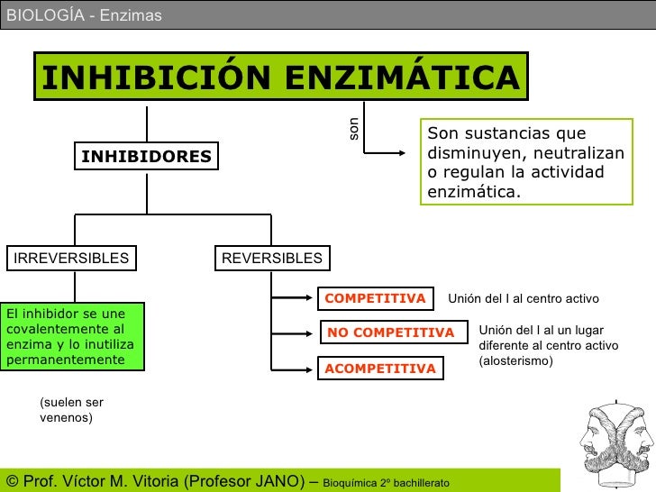 Enzimas Profesor Jano