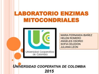 UNIVERSIDAD COOPERATIVA DE COLOMBIA
2015
LABORATORIO ENZIMAS
MITOCONDRIALES
MARIA FERNANDA IBAÑEZ
HELEM ROMERO
ANGELES OSORIO
SOFIA CELEDON
JULIANA LEON
 