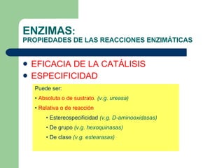 ENZIMAS :  PROPIEDADES DE LAS REACCIONES ENZIMÁTICAS EFICACIA DE LA CATÁLISIS ESPECIFICIDAD Puede ser: Absoluta o de sustrato . (v.g. ureasa) Relativa o de reacción Estereospecificidad  (v.g. D-aminooxidasas) De grupo  (v.g. hexoquinasas) De clase  (v.g. estearasas) 
