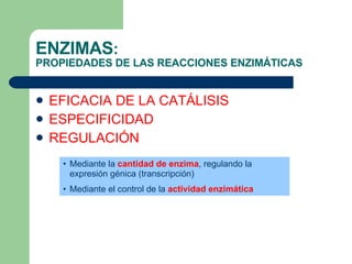 ENZIMAS :  PROPIEDADES DE LAS REACCIONES ENZIMÁTICAS EFICACIA DE LA CATÁLISIS ESPECIFICIDAD REGULACIÓN Mediante la  cantidad de enzima , regulando la expresión génica (transcripción) Mediante el control de la  actividad enzimática 