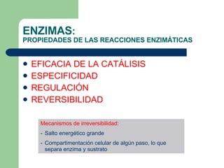ENZIMAS :  PROPIEDADES DE LAS REACCIONES ENZIMÁTICAS EFICACIA DE LA CATÁLISIS ESPECIFICIDAD REGULACIÓN REVERSIBILIDAD Mecanismos de irreversibilidad: Salto energético grande Compartimentación celular de algún paso, lo que separa enzima y sustrato 